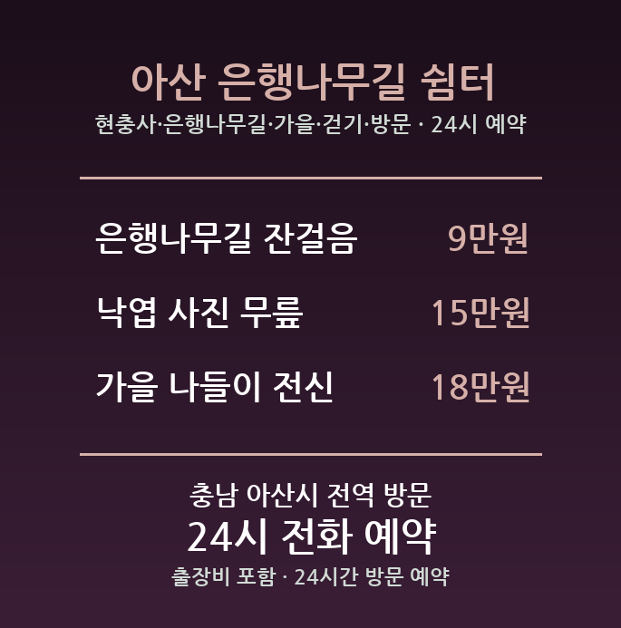 아산 출장마사지 - 현충사 은행나무길 가을 걷기 방문 홈케어