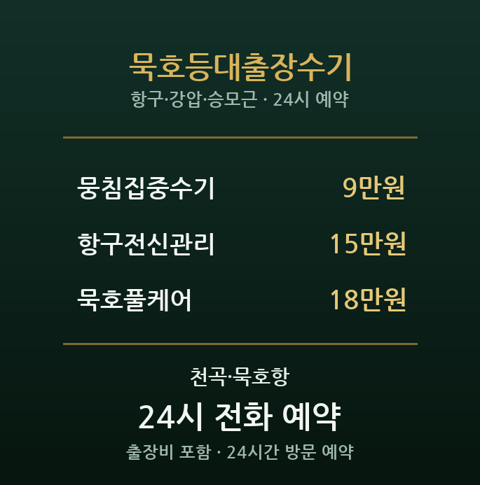 묵호항 출장마사지 - 등대 아래 항구 노동 회복