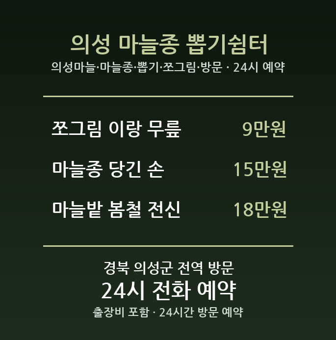 의성 출장마사지 - 의성마늘 마늘종 뽑기 쪼그림 방문 홈케어