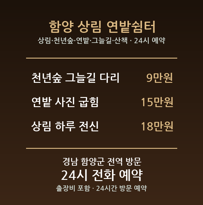 함양 출장마사지 - 상림 천년숲 연밭 그늘길 산책 방문 홈케어