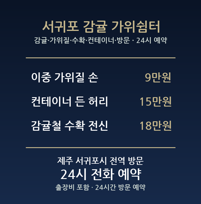 서귀포 출장마사지 - 감귤 가위질 수확 컨테이너 방문 홈케어