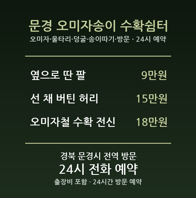문경 출장마사지 - 오미자 울타리 덩굴 송이따기 방문 홈케어