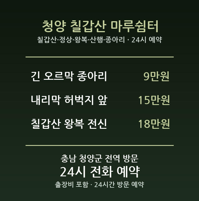 청양 출장마사지 - 칠갑산 정상 왕복 산행 종아리 방문 홈케어