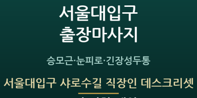 서울대입구 샤로수길 직장인 데스크리셋